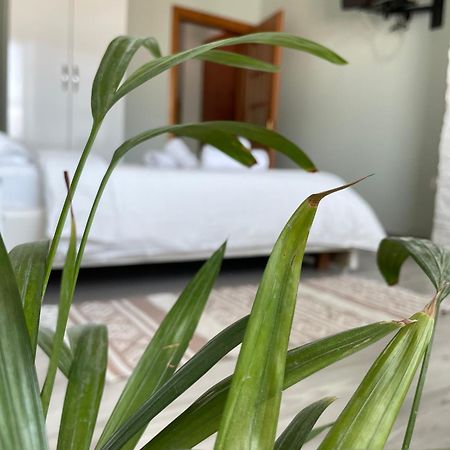 Agroni Rooms Tirana Exteriér fotografie